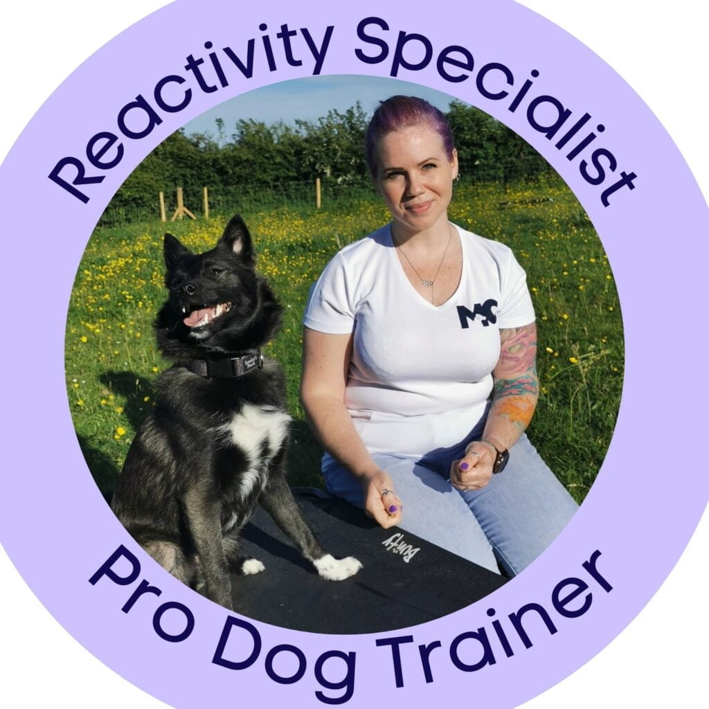 Muttley Crew Dog Training Open Caerleon Business Directory