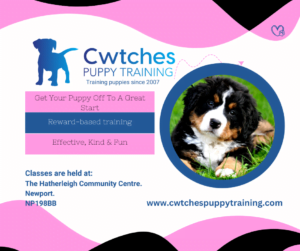 Next-Puppy-Training-Course-3